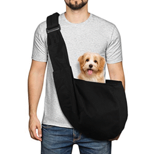 Medium Dog Carrier for Small Dogs & Cats
